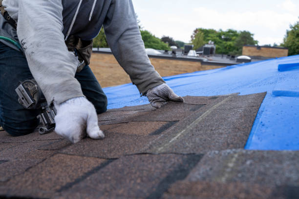 Best Roof Maintenance Services  in Pleasantville, IA